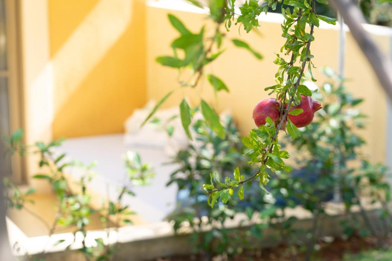 Marilia Lassi Lassi (Kefalonia)